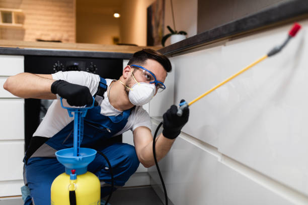Best Best Pest Control Companies  in Ansonia, CT