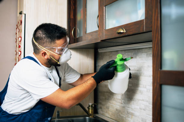 Best Pest Control Near Me  in Ansonia, CT
