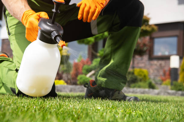 Reliable Ansonia, CT Pest Control Solutions