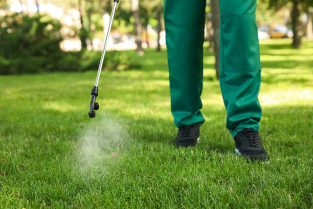 Best Pest Prevention Services  in Ansonia, CT