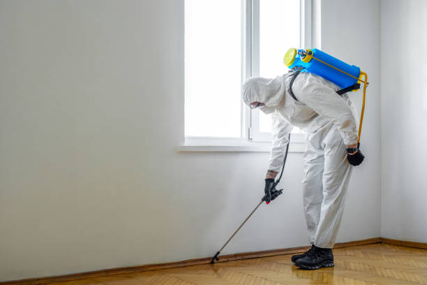 Best Wildlife Control Services  in Ansonia, CT