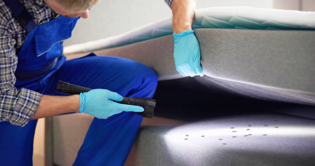 Best Wasp Removal Services  in Ansonia, CT