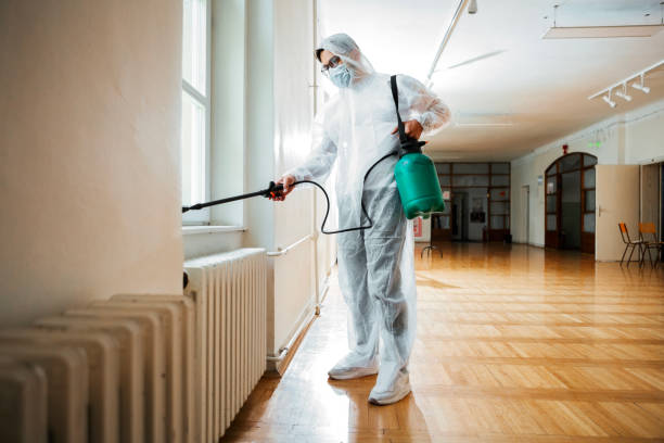 Best Bed Bug Extermination  in Ansonia, CT