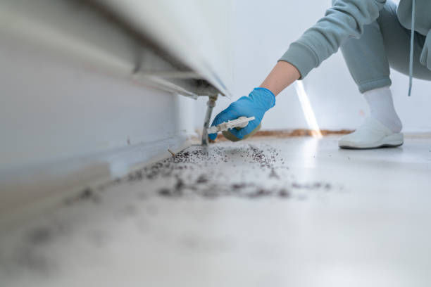 Best Exterminator Services  in Ansonia, CT