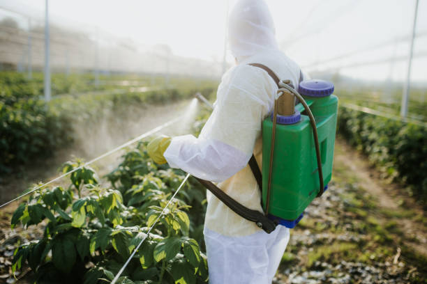  Ansonia, CT Pest Control Pros